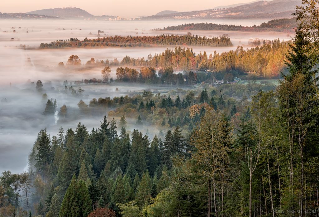 Cover image for Climate change is not a future threat, it's a present danger